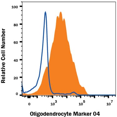 Rat cortical stem cells (Catalog # NSC001) either differentiated (filled histogram) or undifferentiated (open histogram) were stained with Mouse Anti-Human/Mouse/Rat/Chicken Oligodendrocyte Marker O4 Monoclonal Antibody (Catalog # MAB1326), followed by PE-conjugated Anti-Mouse IgM Secondary Antibody (Catalog # F0116). View our protocol for Staining Membrane-associated Proteins.
