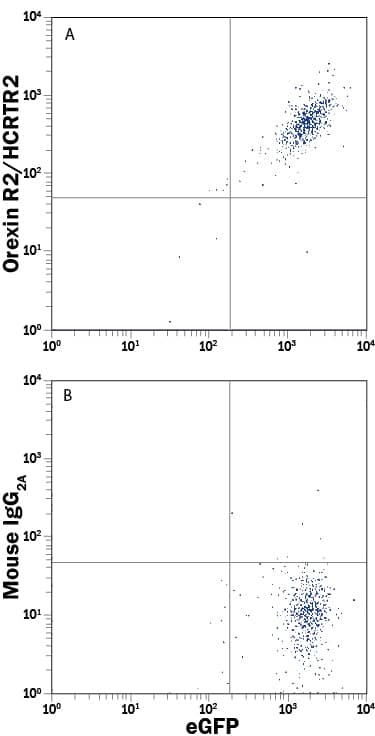 Intracellular Staining by Flow Cytometry Orexin R2/HCRTR2 Antibody (456738) [Unconjugated]