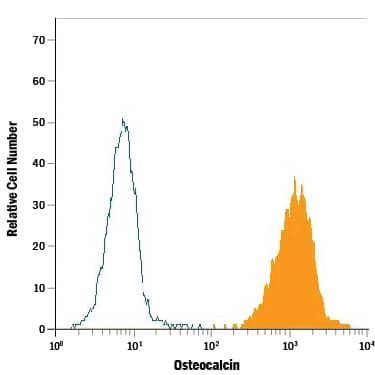 Human osteoblasts were stained with Mouse Anti-Human Osteocalcin APC-conjugated Monoclonal Antibody (Catalog # IC1419A, filled histogram) or isotype control antibody (Catalog # <a class=