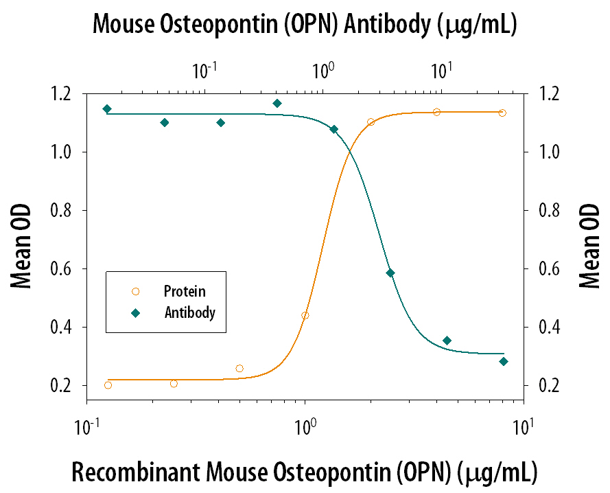 Recombinant Mouse Osteopontin/OPN (441-OP), immobilized onto a microplate, supports the adhesion of the HEK293 human embryonic kidney cell line in a dose-dependent manner (orange line). Adhesion elicited by Recombinant Mouse Osteopontin/OPN (2 µg/mL) is neutralized (green line) by increasing concentrations of Mouse Osteopontin/OPN Antigen Affinity-purified Polyclonal Antibody (Catalog # AF808). The ND50 is typically 1-3 µg/mL.