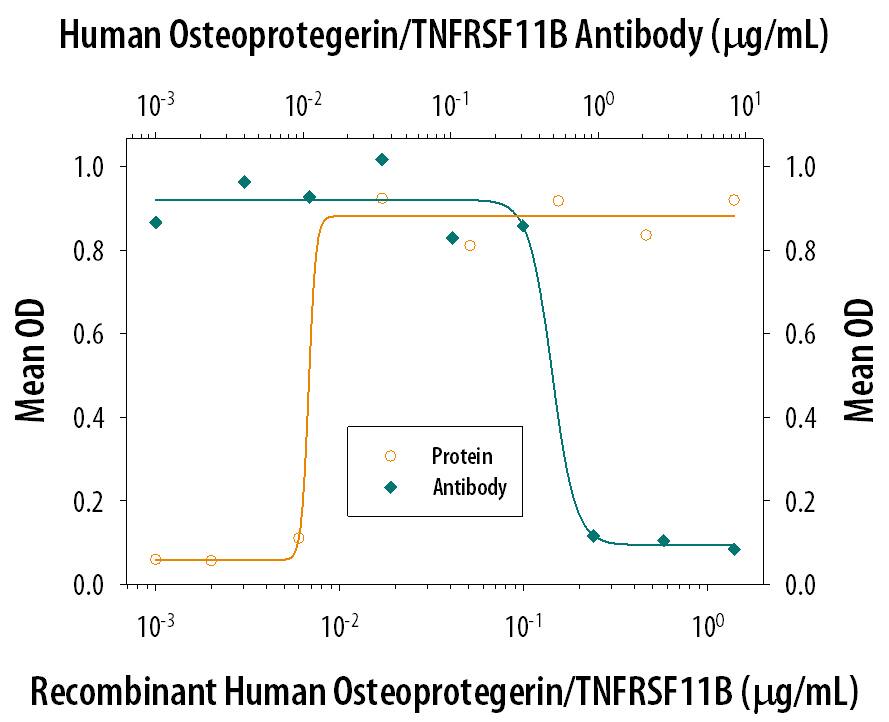 In the presence of a cross-linking antibody, Mouse polyHistidine Monoclonal Antibody (Catalog # MAB050) (Catalog # MAB050) and the metabolic inhibitor actinomycin D (1 µg/mL), Recombinant Human Osteoprotegerin/TNF-RSF11B (Catalog # 185-OS) inhibits Recombinant Human TRAIL/TNFSF10 (Catalog # 375-TL) induced cytotoxicity in the L-929 mouse fibroblast cell line in a dose-dependent manner (orange line), as measured by crystal violet staining. Under these conditions, inhibition of Recombinant Human TRAIL/TNFSF10 (20 ng/mL) activity elicited by Recombinant Human Osteoprotegerin/ TNFRSF11B (0.1 µg/mL) is neutralized (green line) by increasing concentrations of Goat Anti-Human Osteoprotegerin/ TNFRSF11B Antigen Affinity-purified Polyclonal Antibody (Catalog # AF805). The ND50 is typically 0.25-0.7 µg/mL.