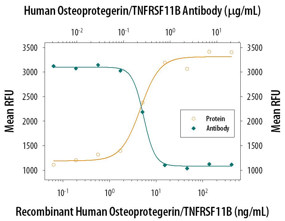 In the presence of the metabolic inhibitor actinomycin D (0.5 µg/mL), Recombinant Human Osteoprotegerin/TNFRSF11B Fc Chimera (Catalog # 805-OS) inhibits Recombinant Human TRAIL/TNFSF10 (Catalog # 375-TL) induced cytotoxicity in the L-929 mouse fibroblast cell line in a dose-dependent manner (orange line). Under these conditions, inhibition of Recombinant Human TRAIL/ TNFSF10 (50 ng/mL) activity elicited by Recombinant Human Osteoprotegerin/TNFRSF11B Fc Chimera (0.1 µg/mL) is neutralized (green line) by increasing concentrations of Mouse Anti-Human Osteoprotegerin/TNFRSF11B Monoclonal Antibody (Catalog # MAB805). The ND50 is typically 0.15-0.3 µg/mL.
