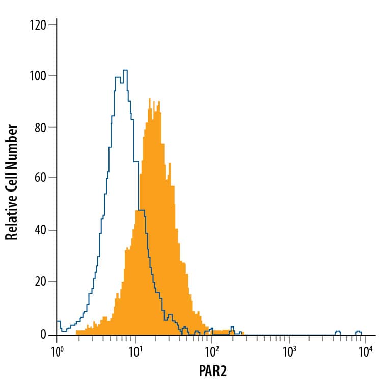 HT-29 human colon adeno-carcinoma cell line was stained with Mouse Anti-Human PAR2 PE-conjugated Mono-clonal Antibody (Catalog # FAB3949P, filled histogram) or isotype control antibody (IC003P, open histogram). View our protocol for Staining Membrane-associated Proteins.