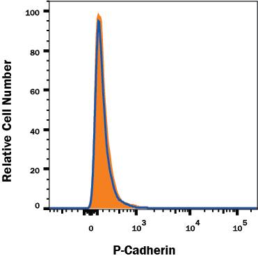 P-Cadherin knockout A431 human epithelial carcinoma cell line was stained with Mouse Anti-Human APC-conjugated P-Cadherin Monoclonal Antibody (Catalog # FAB861A, filled histogram) or isotype control antibody (Catalog # IC002A, open histogram). No staining in the P-Cadherin knockout A431 cell line was observed. Cells were stained in a buffer containing Ca2+ and Mg2+. View our protocol for Staining Membrane-associated Proteins.