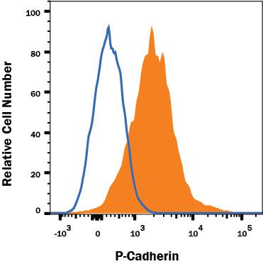 Flow Cytometry P-Cadherin Antibody (104805) [Unconjugated]