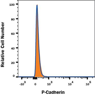 Knockout Validated P-Cadherin Antibody (104805) [Unconjugated]