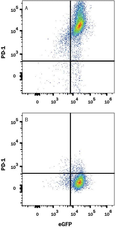 HEK293 human embryonic kidney cell line transfected with (A) human PD-1 or (B) irrelevant protein and eGFP was stained with Mouse Anti-Human PD-1 Alexa Fluor® 647-conjugated Monoclonal Antibody (Catalog # FAB10861R) or (B) Mouse IgG1 Alexa Fluor 647 Isotype Control (Catalog # IC002R). View our protocol for Staining Membrane-associated Proteins.