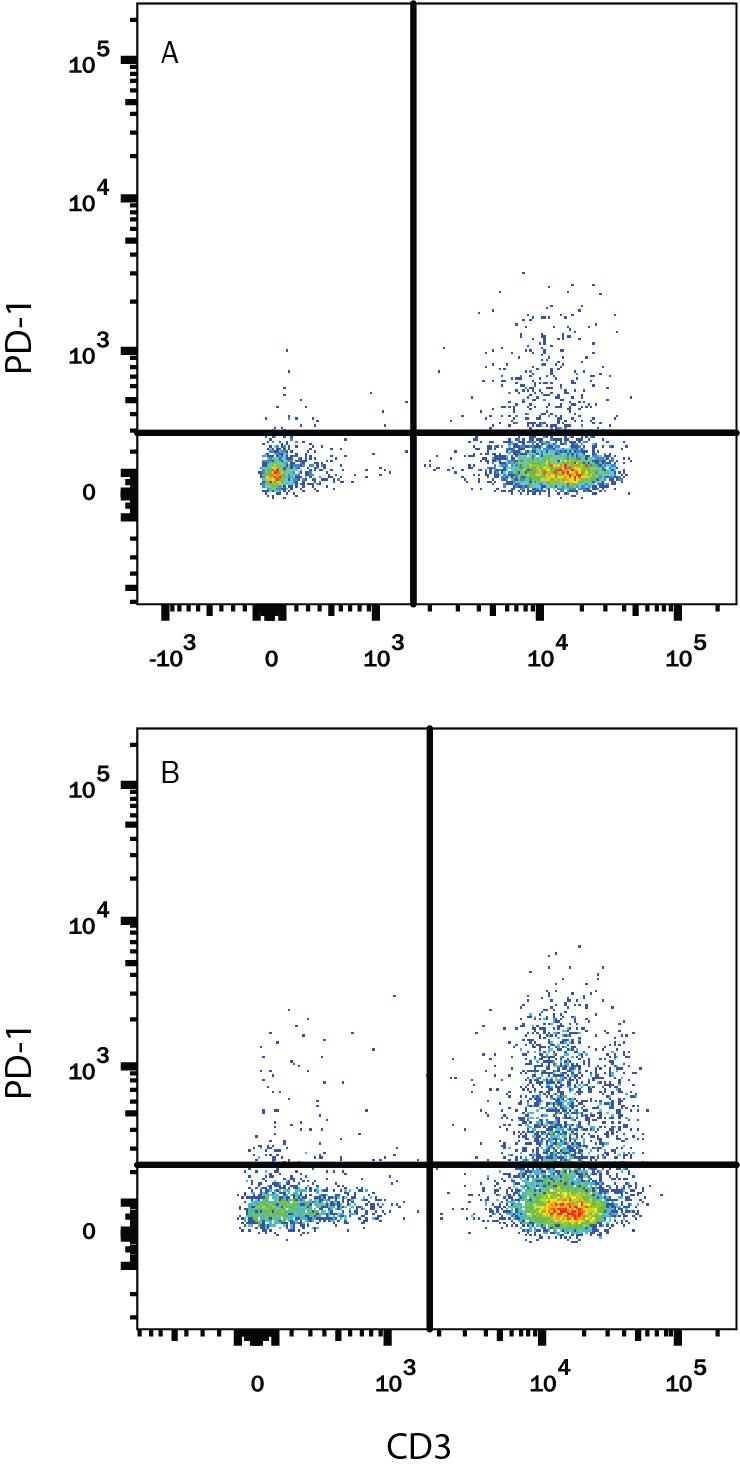 Human peripheral blood mononuclear cells (PBMCs) either (A) untreated or (B) treated with 5 ug/mL PHA overnight were stained with Goat Anti-Human PD-1 Alexa Fluor® 488-conjugated Antigen Affinity-purified Polyclonal Antibody (Catalog # FAB7115G) and Mouse Anti-Human CD3e APC-conjugated Monoclonal Antibody (Catalog # FAB100A). Quadrant markers were set based on control antibody staining (Catalog # IC108G). View our protocol for Staining Membrane-associated Proteins.