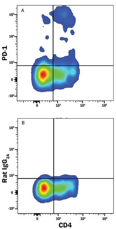 Mouse thymocytes gated on CD3+CD8+cells were stained with Rat Anti-Mouse CD4 Alexa Fluor® 405-conjugated Monoclonal Antibody (FAB554V) and either (A) Rat Anti-Mouse PD-1 PE-conjugated Monoclonal Antibody (Catalog # FAB7738P) or (B) Rat IgG2APhycoerythrin Isotype Control (IC006P). View our protocol for Staining Membrane-associated Proteins.