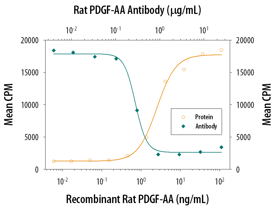 Recombinant Rat PDGF-AA (Catalog # 1055-AA) stimulates proliferation in the NR6R-3T3 mouse fibroblast cell line in a dose-dependent manner (orange line). Proliferation elicited by Recombinant Rat PDGF-AA (25 ng/mL) is neutralized (green line) by increasing concentrations of Goat Anti-Rat PDGF-AA Antigen Affinity-purified Polyclonal Antibody (Catalog # AF1055). The ND50 is typically 0.2-0.6 µg/mL.