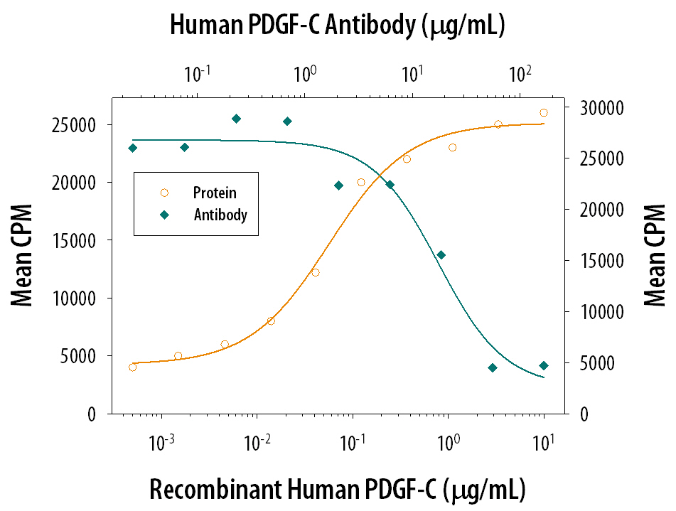 Recombinant Human PDGF-CC (Catalog # 1687-CC) stimulates proliferation in the NR6R-3T3 mouse fibroblast cell line in a dose-dependent manner (orange line). Proliferation elicited by Recombinant Human PDGF-CC (0.8 µg/mL) is neutralized (green line) by increasing concentrations of Goat Anti-Human PDGF-C Antigen Affinity-purified Polyclonal Antibody (Catalog # AF1560). The ND50 is typically 6-24 µg/mL.