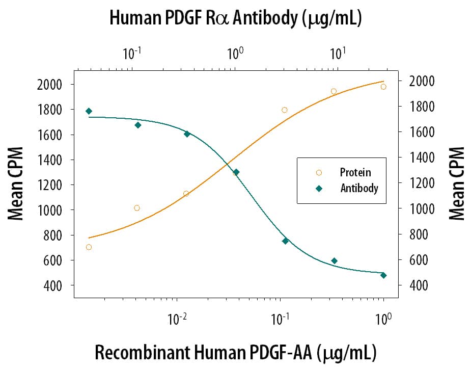 Neutralization PDGFR alpha Antibody