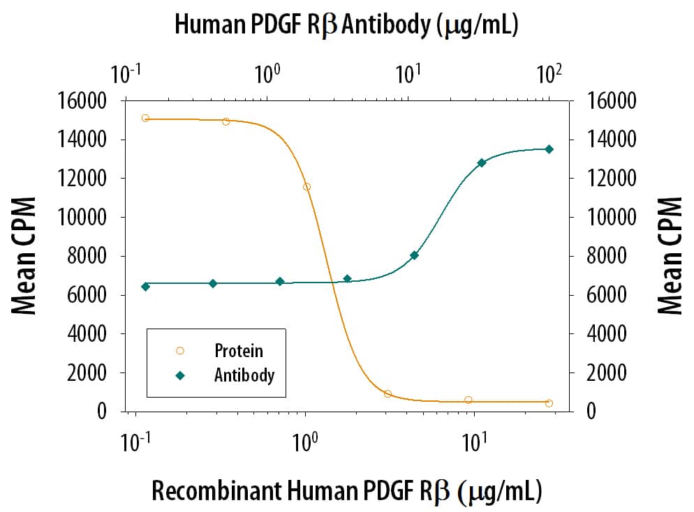 Recombinant Human PDGF R beta  Fc Chimera (385-PR) inhibits Recombinant Human PDGF-BB (220-BB) induced proliferation in the NR6R-3T3 mouse fibroblast cell line in a dose-dependent manner (orange line). Inhibition of Recombinant Human PDGF-BB (4 ng/mL) activity elicited by Recombinant Human PDGF R beta  Fc Chimera (2 µg/mL) is neutralized (green line) by increasing concentrations of Goat Anti-Human PDGF R beta  Antigen Affinity-purified Polyclonal Antibody (Catalog # AF385). The ND50 is typically 10-40 µg/mL.