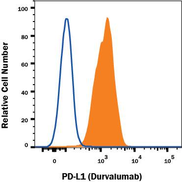 MDA-MB-231 human breast adenocarcinoma cell line was stained with Human Anti-Human PD-L1/B7-H1 (Research Grade Durvalumab Biosimilar) Monoclonal Antibody (Catalog # MAB10355, filled histogram) or irrelevant antibody (open histogram) followed by APC-conjugated Anti-Human IgG Secondary Antibody (Catalog # F0135). View our protocol for Staining Membrane-associated Proteins.
