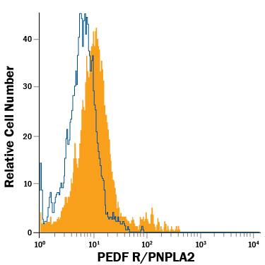 Y-79 human retinoblastoma cell line was stained with Mouse Anti-Human PEDF R/PNPLA2 Alexa Fluor® 488-conjugated Monoclonal Antibody (Catalog # FAB5387G, filled histogram) or isotype control antibody (Catalog # IC0041G, open histogram). View our protocol for Staining Membrane-associated Proteins.
