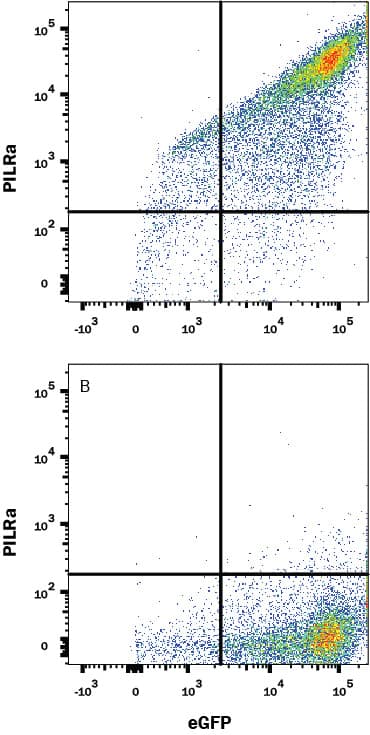 Flow Cytometry PILR-alpha Antibody (2175D) [Unconjugated]