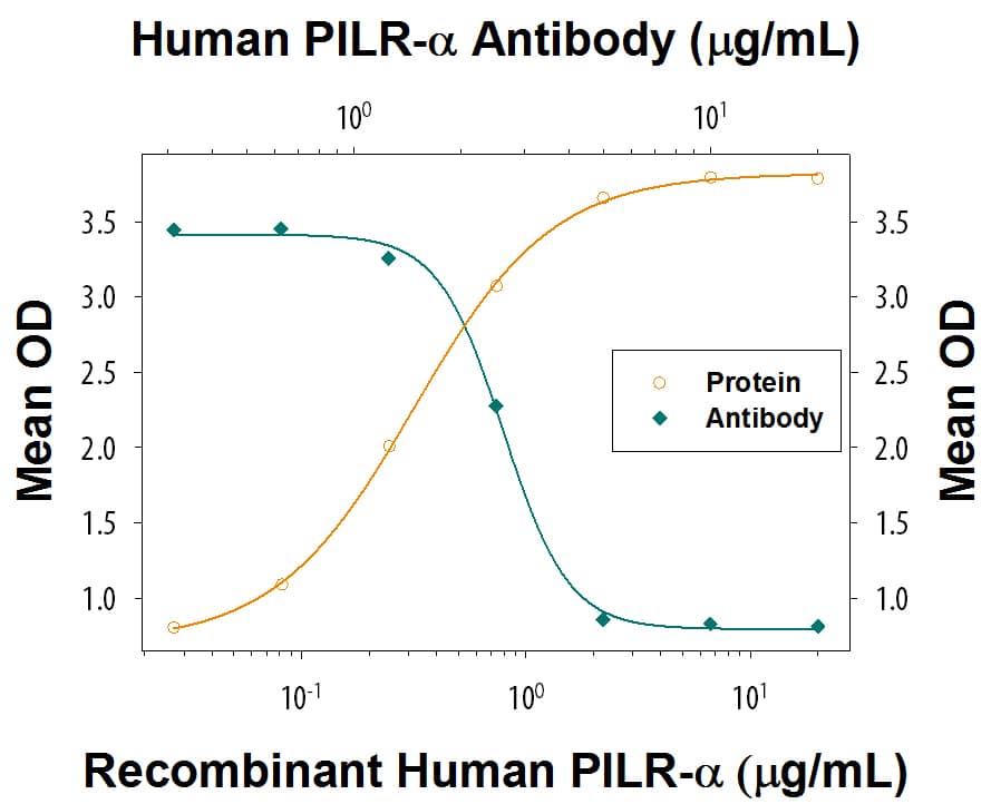 In a functional ELISA, Recombinant Human PILR-a (Catalog # 6484-PR) binds to immobilized recombinant human PANP Fc Chimera coated at 5 µg/mL (100 µL/well) in a dose-dependent manner (orange line). Binding is blocked (green line) by increasing concentrations of Rabbit Anti-Human PILR-a Monoclonal Antibody (Catalog # MAB64842). At 1-5 µg/mL, this antibody will block 50% of the binding.