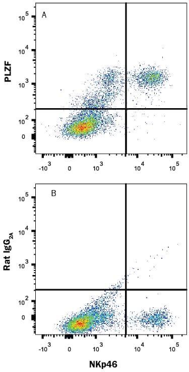Mouse splenocytes stimulated with Recombinant Mouse IL-12 (Catalog # 419-ML) and Recombinant Mouse IL-18 (Catalog # 9139-IL) for 3 days were stained with Rat Anti-Mouse NKp46/NCR1 PE-conjugated Monoclonal Antibody (Catalog # FAB22252P) and either (A) Rat Anti-Mouse PLZF Monoclonal Antibody (Catalog # MAB29441) or (B) Rat IgG2AIsotype Control (Catalog # MAB006) followed by Allophycocyanin-conjugated Anti-Rat IgG Secondary Antibody (Catalog # F0113). To facilitate intracellular staining, cells were fixed with Flow Cytometry Fixation Buffer (Catalog # FC004) and permeabilized with Flow Cytometry Permeabilization/Wash Buffer I (Catalog # FC005). View our protocol for Staining Intracellular Molecules.