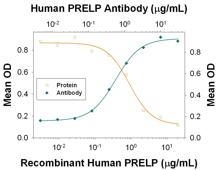 Recombinant Human PRELP (Catalog # 6447-PR) inhibits TRANCE-induced osteoclast differentiation in the RAW 264.7 mouse monocyte/macrophage cell line in a dose-dependent manner (orange line), as measured by the Tartrate-resistant acid phosphatase activity assay. Under these conditions, TRANCE-induced osteoclast differentiation inhibited by Recombinant Human PRELP (5 µg/ml) is neutralized (green line) by increasing concentrations of Mouse Anti-Human PRELP Monoclonal Antibody (Catalog # MAB64471) in the presence of 5 ng/mL Recombinant Mouse TRANCE/TNFSF11/RANK L (Catalog # 462-TEC) and 20 ng/mL Recombinant Mouse M-CSF (Catalog # 416-ML). The ND50 is typically 0.25-1.25 µg/mL.