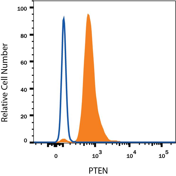 Human peripheral blood mononuclear cell lymphocytes were stained with Mouse Anti-Human/Mouse/Rat PTEN Alexa Fluor® 488-conjugated Monoclonal Antibody (Catalog # IC847G, filled histogram) or isotype control antibody (Catalog # IC002G, open histogram). To facilitate intracellular staining, cells were fixed with paraformaldehyde and permeabilized with saponin.