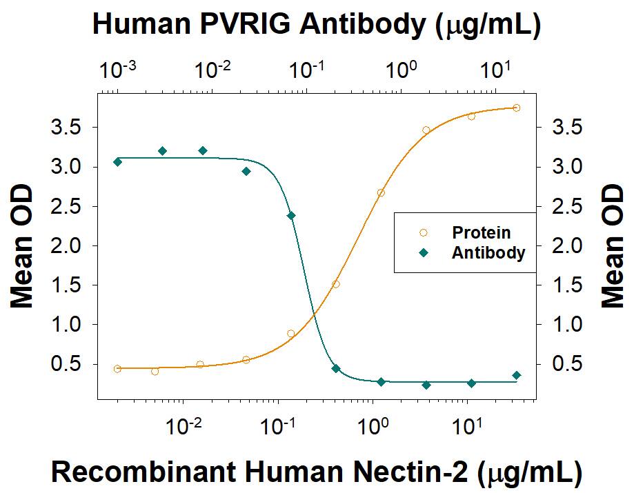 Blockade of Receptor-ligand Interaction PVRIG Antibody (2334B) [Unconjugated]