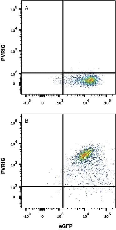 Flow Cytometry PVRIG Antibody (2334B) [Unconjugated]