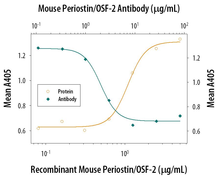 Neutralization Periostin/OSF-2 Antibody [Unconjugated]