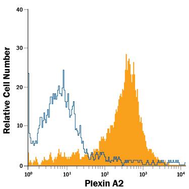 PC-12 rat adrenal pheochromocytoma cell line was stained with Goat Anti-Human/Mouse/Rat Plexin A2 APC-conjugated Antigen Affinity-purified Polyclonal Antibody (Catalog # FAB5486A, filled histogram) or isotype control antibody (Catalog # IC108A, open histogram). View our protocol for Staining Membrane-associated Proteins.