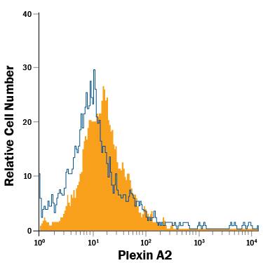 HUVEC human umbilical vein endothelial cells were stained with Goat Anti-Human/Mouse/Rat Plexin A2 APC-conjugated Antigen Affinity-purified Polyclonal Antibody (Catalog # FAB5486A, filled histogram) or isotype control antibody (Catalog # IC108A, open histogram). View our protocol for Staining Membrane-associated Proteins.