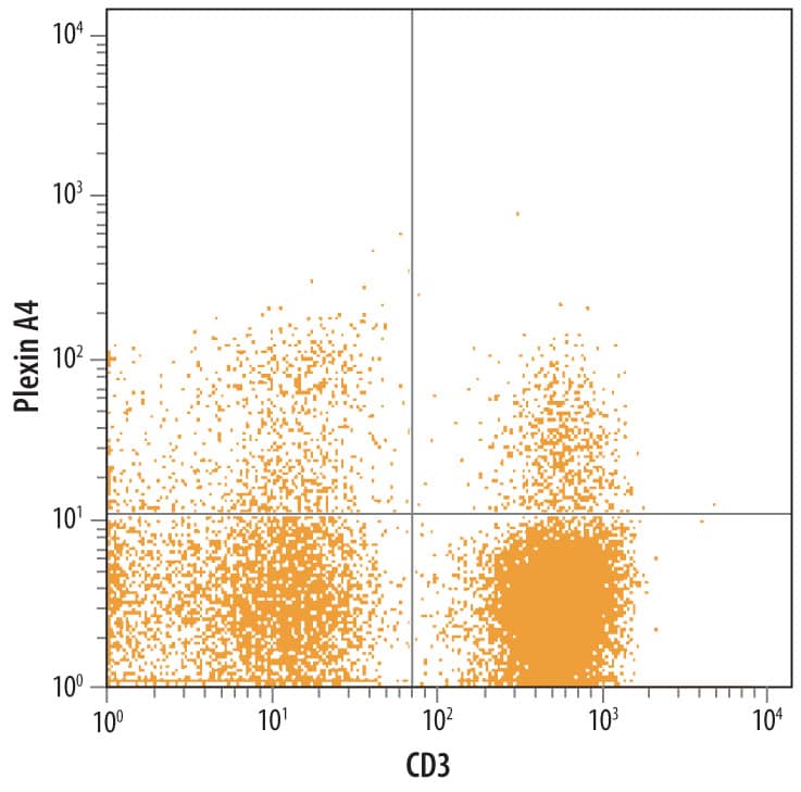 Flow Cytometry Plexin A4 Antibody (707206) [Unconjugated]
