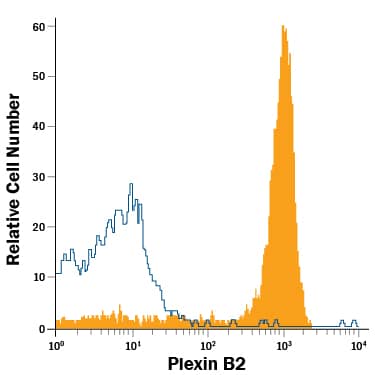 Whole blood monocytes were stained with Mouse Anti-Human Plexin B2 APC-conjugated Monoclonal Antibody (Catalog # FAB53291A, filled histogram) or isotype control antibody (Catalog # IC003A, open histogram). View our protocol for Staining Membrane-associated Proteins.