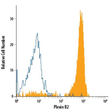 Human peripheral blood monocytes were stained with Mouse Anti-Human Plexin B2 PE-conjugated Monoclonal Antibody (Catalog # FAB53291P, filled histogram) or isotype control antibody (Catalog # IC003P, open histogram). View our protocol for Staining Membrane-associated Proteins.