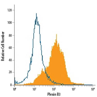 A172 human glioblastoma cell line was stained with Sheep Anti-Human Plexin B3 Antigen Affinity-purified Polyclonal Antibody (Catalog # AF4958, filled histogram) or isotype control antibody (Catalog # 5-001-A, open histogram), followed by Allophycocyanin-conjugated Anti-Sheep IgG Secondary Antibody (Catalog # F0127).