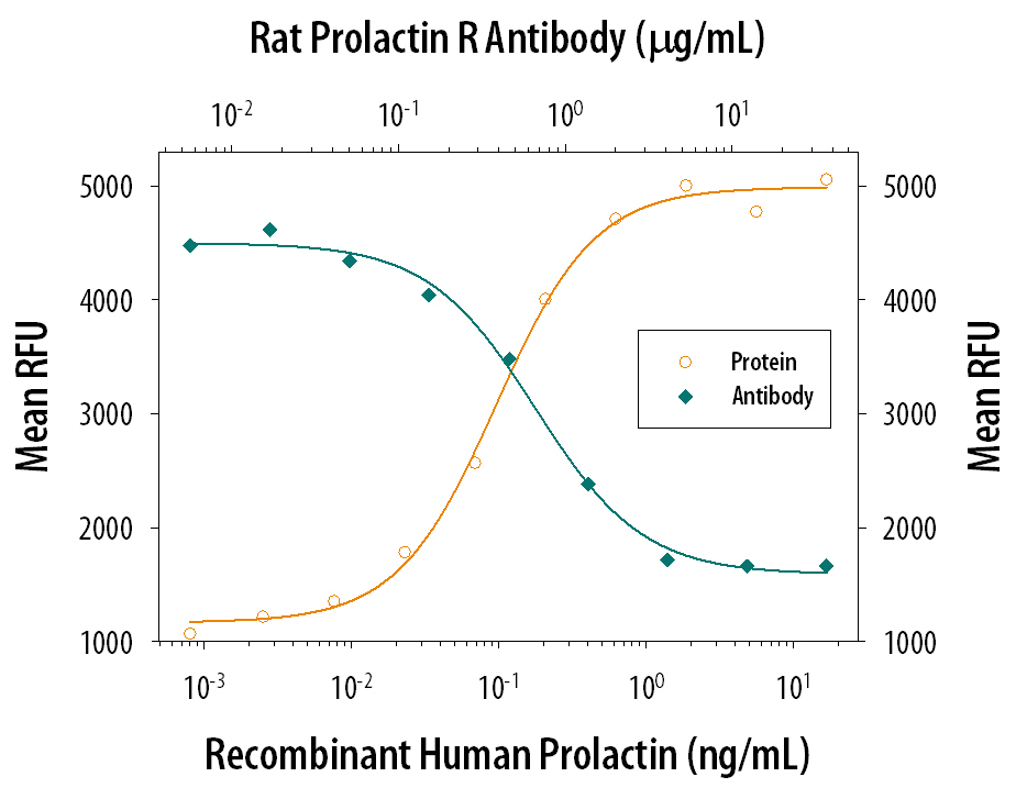 Recombinant Human Prolactin (Catalog # 682-PL) stimulates proliferation in the Nb2-11 rat lymphoma cell line in a dose-dependent manner (orange line). Proliferation elicited by Recombinant Human Prolactin (0.5 ng/mL) is neutralized (green line) by increasing concentrations of Goat Anti-Rat Prolactin R Antigen Affinity-purified Polyclonal Antibody (Catalog # AF1112). 25 µg/mL of this antibody will neutralize Recombinant Human Prolactin-induced activity by > 60%.