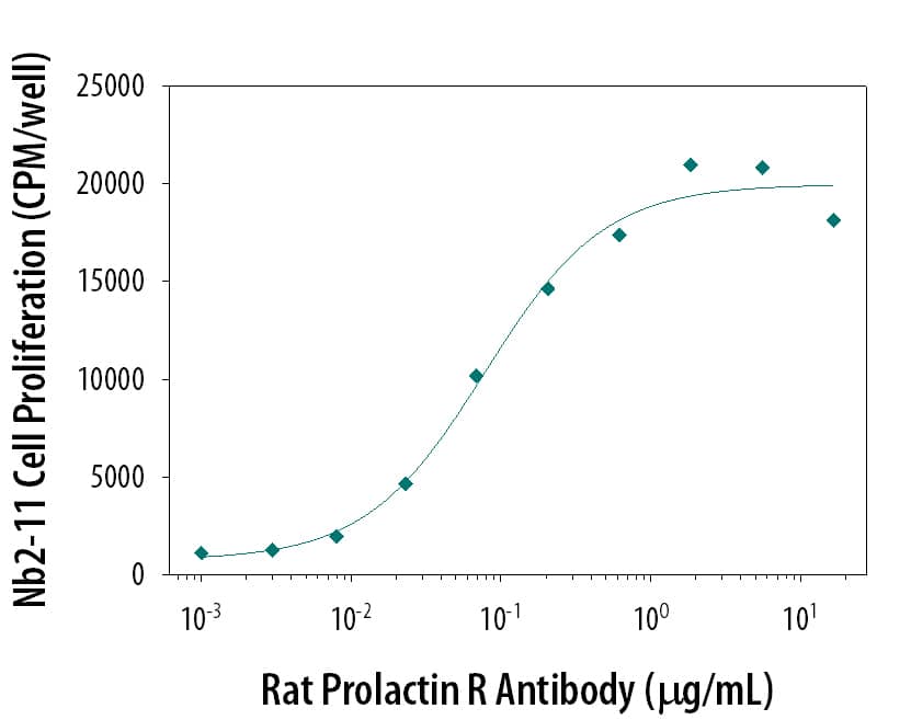 Rat Prolactin R Monoclonal Antibody increases the3H-thymidine incorporation into the Nb2-11 rat lymphoma cell line in a dose-dependent manner. The ED50 for this effect is typically 0.07-0.3 μg/mL.