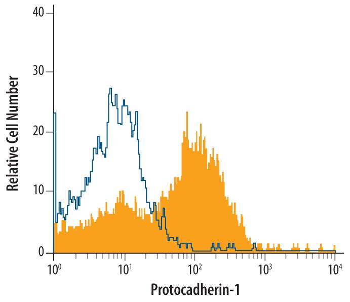 A431 human epithelial carcinoma cell line was stained with Mouse Anti-Human Protocadherin-1 Monoclonal Antibody (Catalog # MAB5899, filled histogram) or isotype control antibody (Catalog # MAB002, open histogram), followed by Allophycocyanin-conjugated Anti-Mouse IgG Secondary Antibody (Catalog # F0101B).