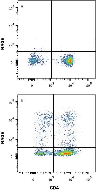 Mouse splenocytes either (A) unstimulated or (B) stimulated to induce Th1 cells were stained with Rat Anti-Mouse RAGE Alexa Fluor® 488-conjugated Monoclonal Antibody (Catalog # FAB11795G) and Rat Anti-Mouse CD4 APC-conjugated Monoclonal Antibody (Catalog # FAB554A). Quadrant markers were set based on control antibody staining (Catalog # IC006G). View our protocol for Staining Membrane-associated Proteins.