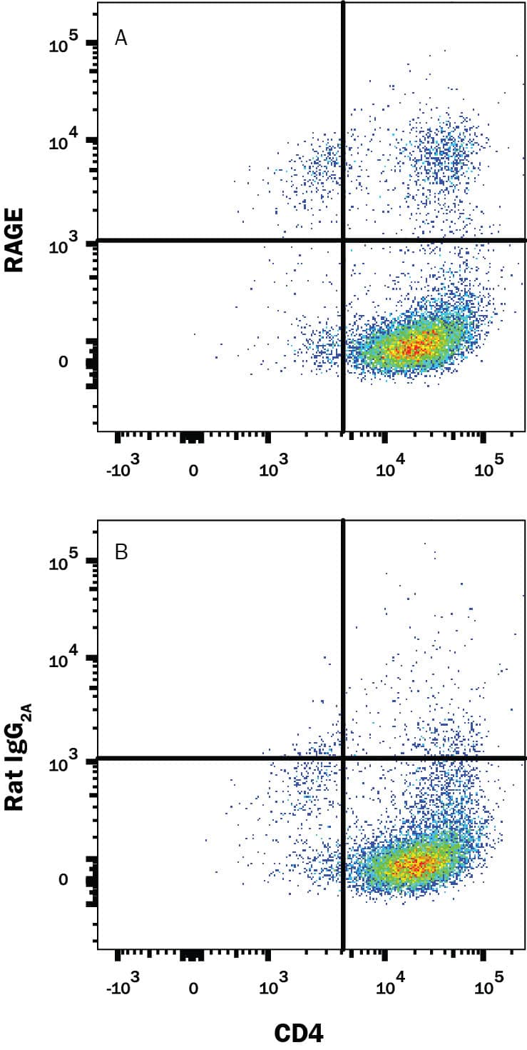 Mouse splenocytes stimulated to induce Th1 cells were stained with Rat Anti-Mouse CD4 PE-conjugated Monoclonal Antibody (FAB554P) and either (A) Rat Anti-Mouse RAGE Monoclonal Antibody (Catalog # MAB11795) or (B) Rat IgG2AIsotype Control (MAB006) followed by Allophycocyanin-conjugated Anti-Rat IgG Secondary Antibody (F0113). View our protocol for Staining Membrane-associated Proteins.