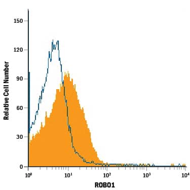 HepG2 human hepatocellular carcinoma cell line was stained with Mouse Anti-Human ROBO1 Monoclonal Antibody (Catalog # MAB71181, filled histogram) or isotype control antibody (Catalog # MAB002, open histogram), followed by Phycoerythrin-conjugated Anti-Mouse IgG Secondary Antibody (Catalog # F0102B).