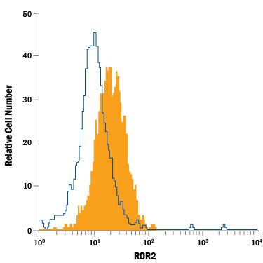SH-SY5Y human neuroblastoma cell line was stained with Mouse Anti-Human ROR2 PE-conjugated Monoclonal Antibody (Catalog # FAB20641P, filled histogram) or isotype control antibody (Catalog # IC003P, open histogram). View our protocol for Staining Membrane-associated Proteins.