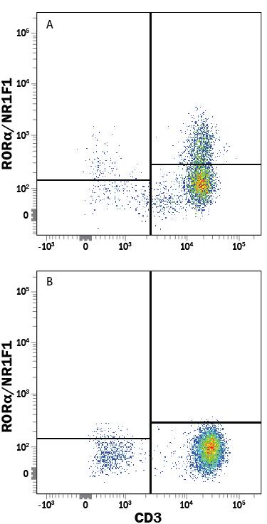 Th17 differentiated human peripheral blood mononuclear cells (PBMCs, panel A) or resting PBMCs (panel B) were stained with Mouse Anti-Human CD3e APC-conjugated Monoclonal Antibody (FAB100A) and Mouse Anti-Human RORa/NR1F1 PE-conjugated Monoclonal Antibody (Catalog # IC8924P). To facilitate intracellular staining, cells were fixed and permeabilized with FlowX FoxP3 Fixation & Permeabilization Buffer Kit (Catalog # FC012). View our protocol for Staining Intracellular Molecules.
