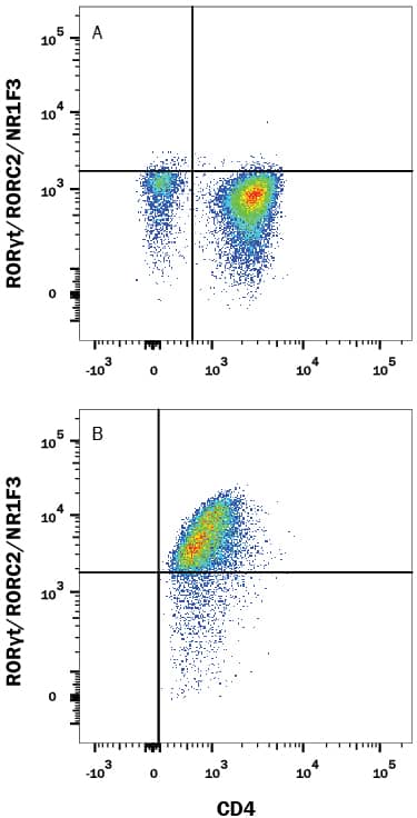 Human peripheral blood mononuclear cells (PBMCs) either (A) unstimulated or (B) stimulated to induce Th17 cells were stained with Rabbit Anti-Human ROR gamma/RORC/NR1F3 Monoclonal Antibody (Catalog # MAB61093) followed by Phycoerythrin-conjugated Anti-Rabbit IgG Secondary Antibody (F0110) and Mouse Anti-Human CD4 APC-conjugated Monoclonal Antibody (FAB3791A). Quadrant markers were set based on control antibody staining (Catalog # MAB1050). To facilitate intracellular staining, cells were fixed and permeabilized with FlowX FoxP3 Fixation & Permeabilization Buffer Kit (FC012). View our protocol for Staining Intracellular Molecules.