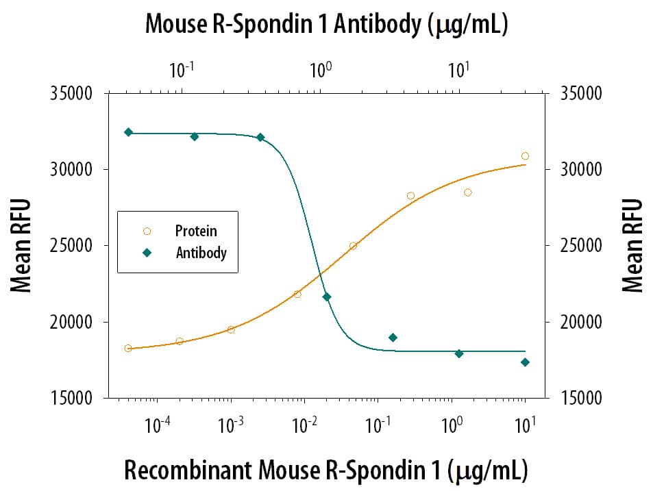 Recombinant Mouse R-Spondin 1 (7150-RS) co-stimulates  beta -catenin response in the HEK293T human embryonic kidney cell line in a dose-dependent manner (orange line).  beta -Catenin Response elicited by Recombinant Mouse R-Spondin 1 (500 ng/mL) is neutralized (green line) by increasing concentrations of Rat Anti-Mouse R-Spondin 1 Mono-clonal Antibody (Catalog # MAB3474) in the presence of 5 ng/mL of Recombinant Mouse Wnt-3a (1324-WN). The ND50 is typically 0.4-2 µg/mL.
