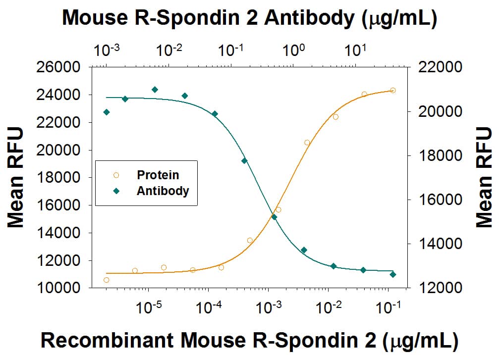 Neutralization R-Spondin 2 Antibody (773029) [Unconjugated]