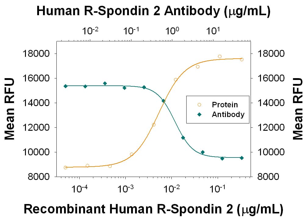 Recombinant Human R-Spondin 2 (Catalog # 3266-RS) co-stimulates  beta -catenin response in the HEK293T human embryonic kidney cell line in a dose-dependent manner (orange line).  beta -Catenin response elicited by Recombinant Human R-Spondin 2 (30 ng/mL) is neutralized (green line) by increasing concentrations of Rat Anti-Human R-Spondin 2 Monoclonal Antibody (Catalog # MAB3266) in the presence of 5 ng/mL of Recombinant Mouse Wnt-3a (Catalog # 1324-WN). The ND50 is typically ≤ 2.00 µg/ml.