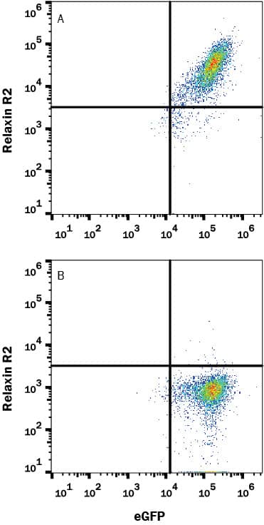 Flow Cytometry Relaxin R2/LGR8 Antibody (1013903) [Unconjugated]