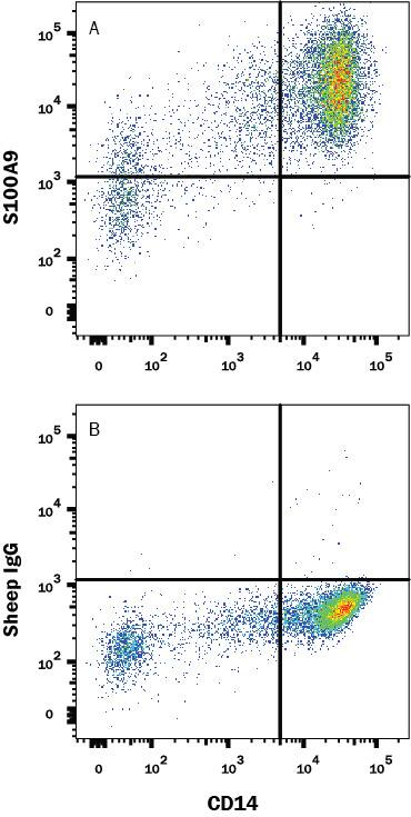 Human peripheral blood monocytes (PBMC) were stained with Mouse Anti-Human CD14 PE-conjugated Monoclonal Antibody (Catalog # FAB3832P) and either (A) Sheep Anti-Human S100A9 Polyclonal Antibody (Catalog # AF5578) or (B) Sheep IgG Isotype Control (Catalog # 5-001-A) followed by anti-Sheep IgG APC-conjugated Secondary Antibody (Catalog # F0127). To facilitate intracellular staining, cells were fixed with Flow Cytometry Fixation Buffer (Catalog # FC004) and permeabilized with Flow Cytometry Permeabilization/Wash Buffer (Catalog # FC005). View our protocol for Staining Membrane-associated Proteins.