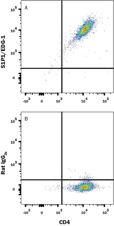 HEK293 human embryonic kidney cell line transfected with mouse S1P1/EDG-1 and eGFP was stained with (A) Rat Anti-Mouse S1P1/EDG-1 Biotinylated Monoclonal Antibody (Catalog # FAB7089B) or (B) Rat IgG2A isotype control antibody (Catalog # IC006B) followed by Streptavidin-Allophycocyanin (Catalog # F0050). View our protocol for Staining Membrane-associated Proteins.