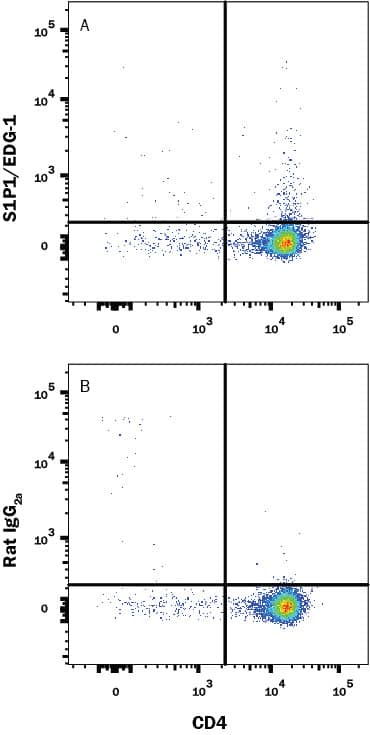 Mouse thymocytes were stained with (A) Rat Anti-Mouse S1P1/EDG-1 Biotinylated Monoclonal Antibody (Catalog # FAB7089B) or (B) Rat IgG2A isotype control antibody (Catalog # IC006B) followed by Streptavidin-Allophycocyanin (Catalog # F0050) and Rat Anti-Mouse CD4 PE-conjugated Monoclonal Antibody (Catalog # FAB554P). View our protocol for Staining Membrane-associated Proteins.