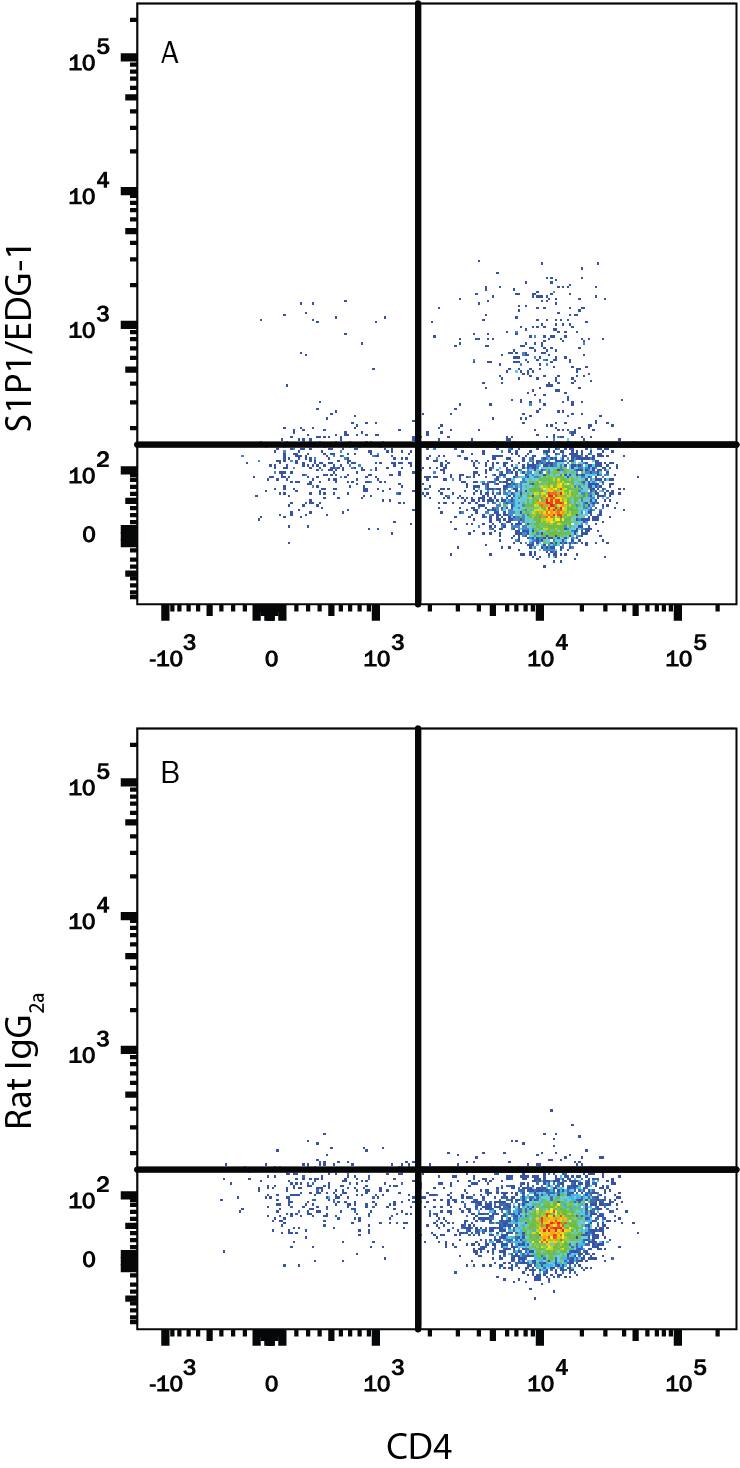 Mouse thymocytes were stained with Rat Anti-Mouse CD4 APC-conjugated Monoclonal Antibody (Catalog # <a class=
